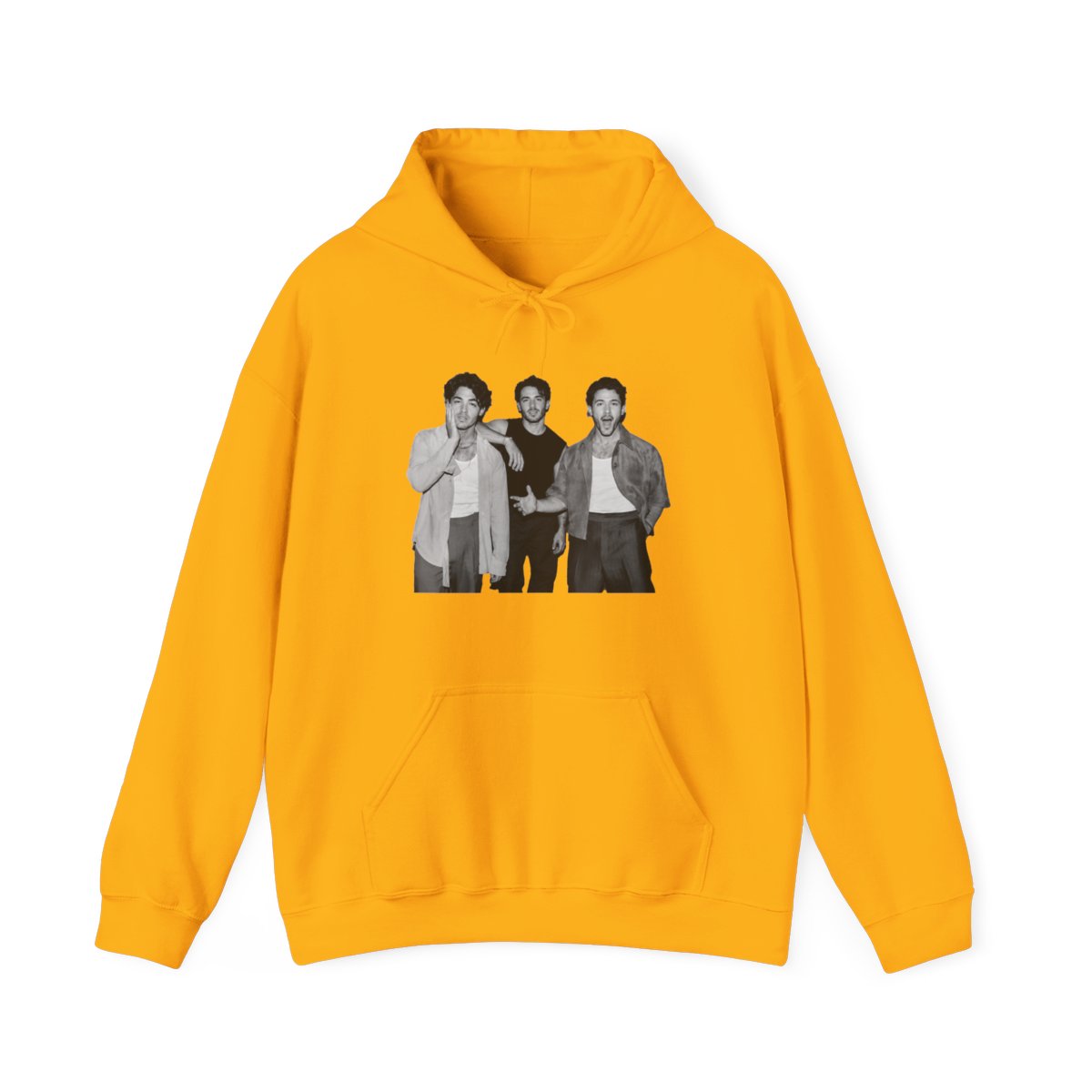Jonas Brothers Hoodie - alternate angle 2, merchandise