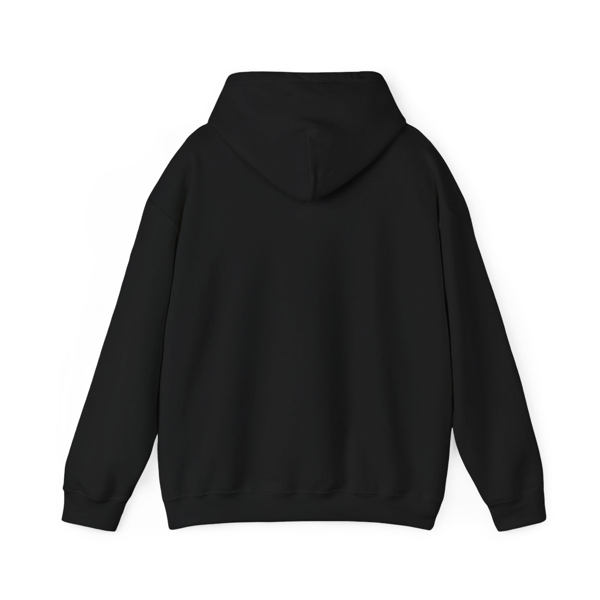 Jonas Brother 20th Annivesary Tour 2025 Hoodie | Jonas Brothers - alternate angle 1, merchandise